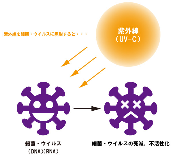 紫外線で除菌